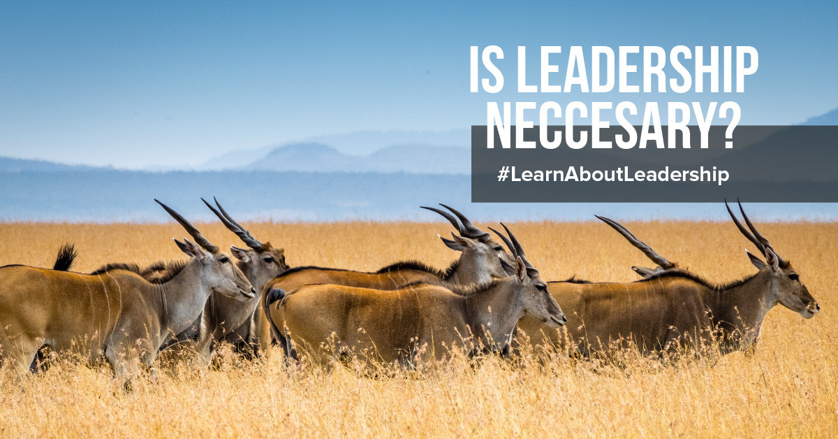 ¿Cómo ser un buen líder?