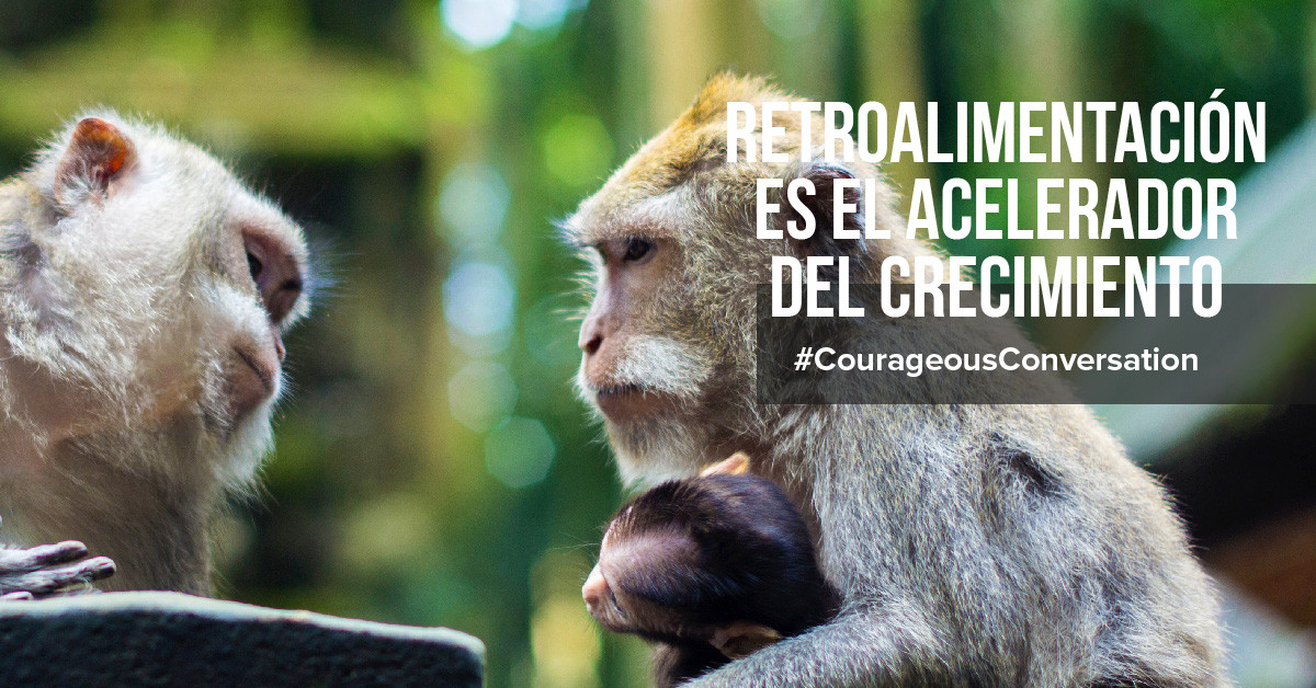 retroalimentación en el trabajo