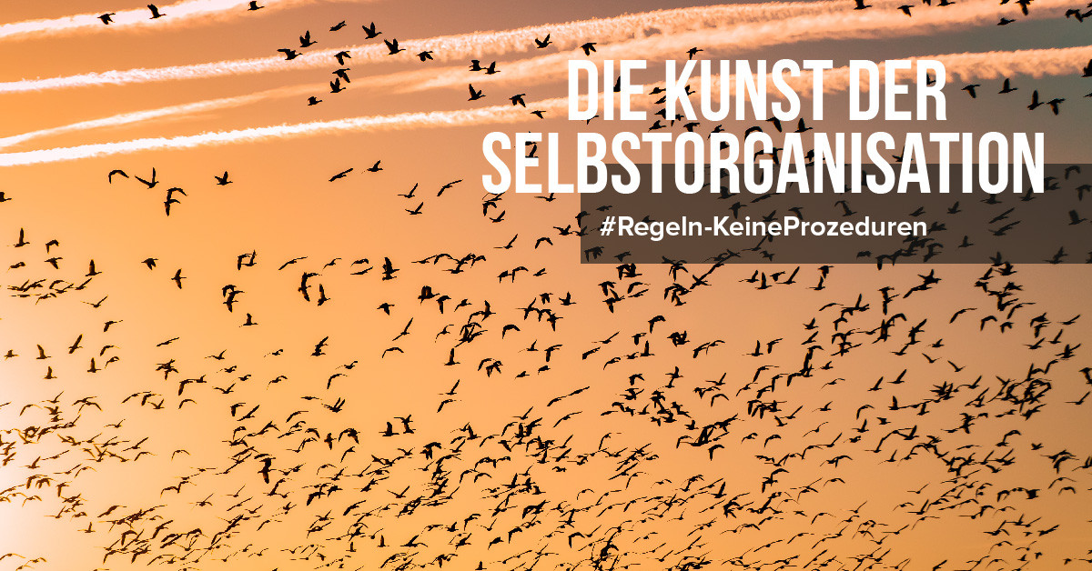 Die Kunst der Selbstorganisation
