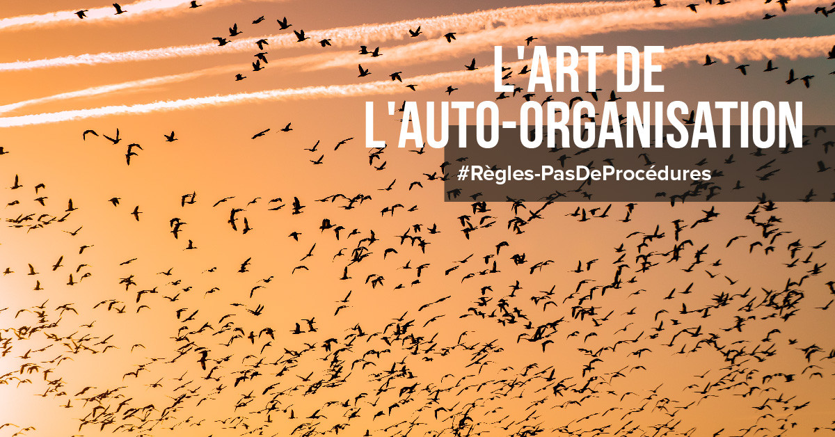 L'art de l'auto-organisation
