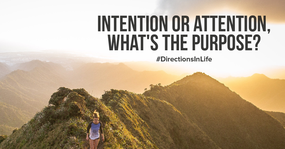 intention or attention driven, what's the purpose?