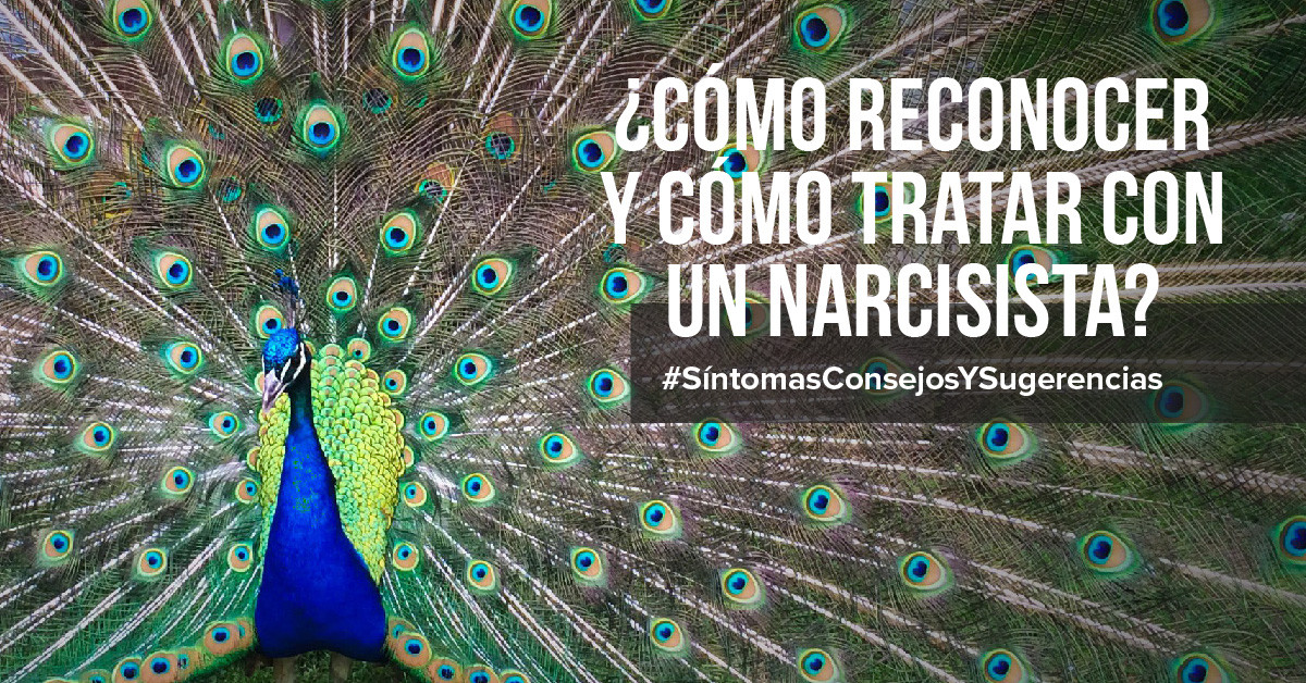 ¿Cómo reconocer y cómo tratar con un narcisista?
