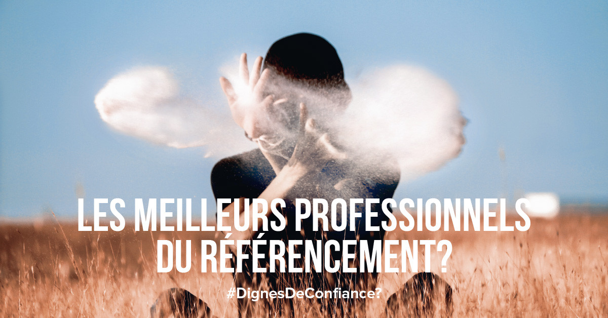 La déception de faire affaire avec les meilleurs professionnels du référencement