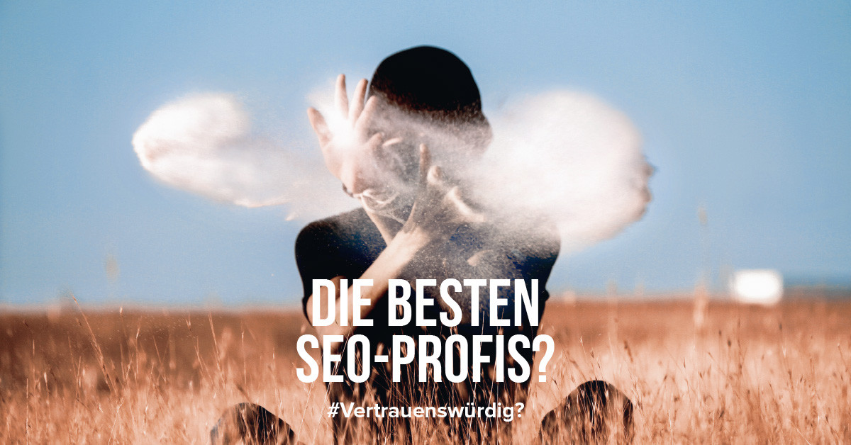 Die Enttäuschung, mit den besten SEO-Profis Geschäfte zu machen