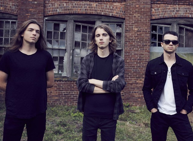 discover-the-gray-vines-the-winter-sounds-higher-education-and-wolves-release-music-video