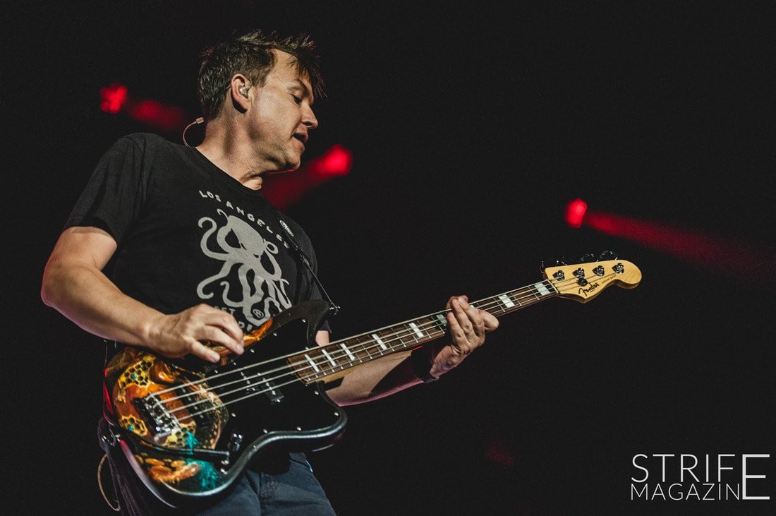 Mark Hoppus Shares Feelings On Concert Cancellation Strife Magazine
