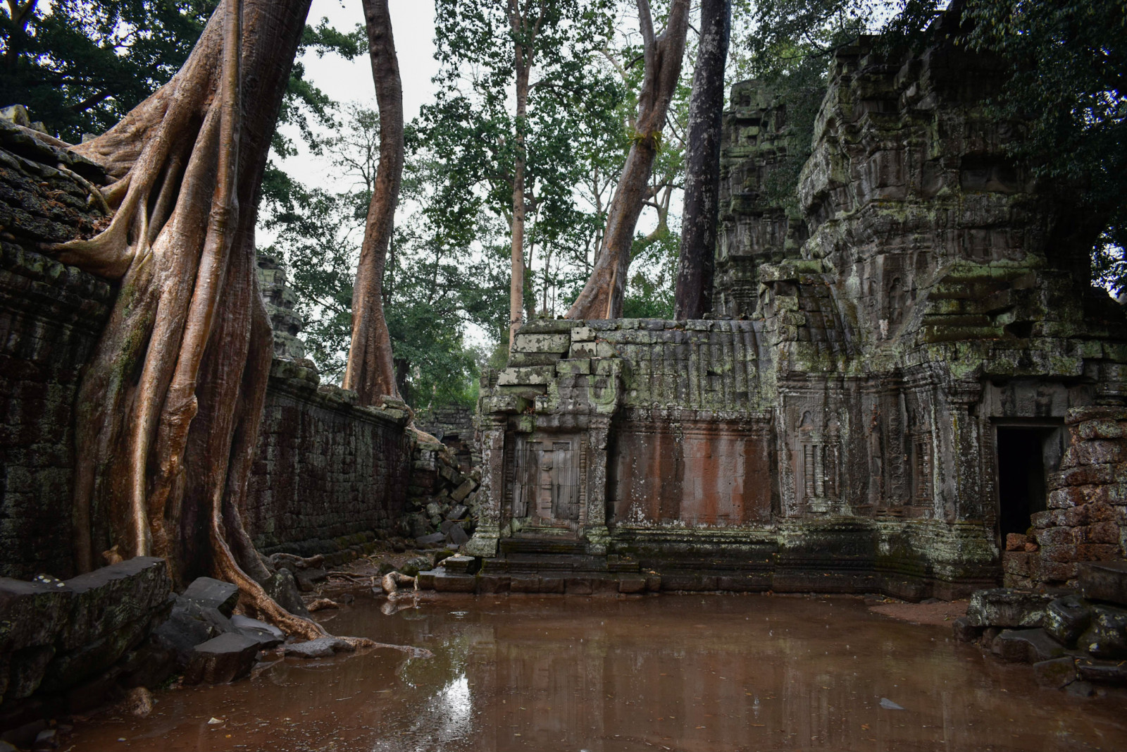 Kambodscha Foto-Touren Angkor Wat-ta prohm Tempel