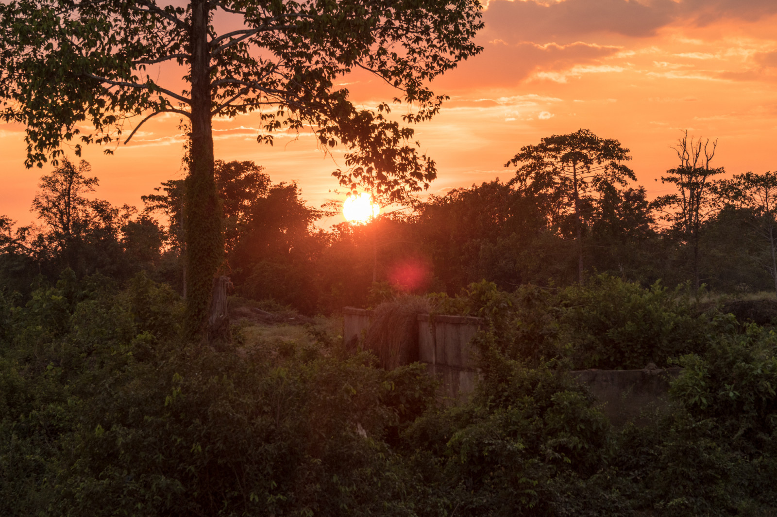 Cambodja fotoreizen jungle zonsondergang fotografie