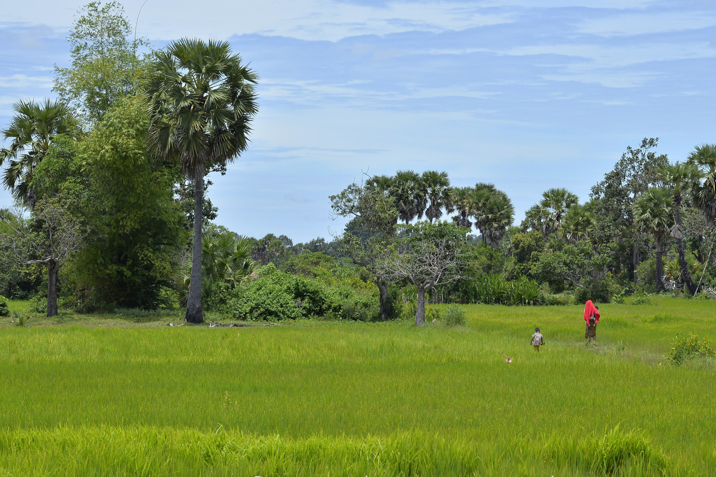 Cambodia tours photo paysages