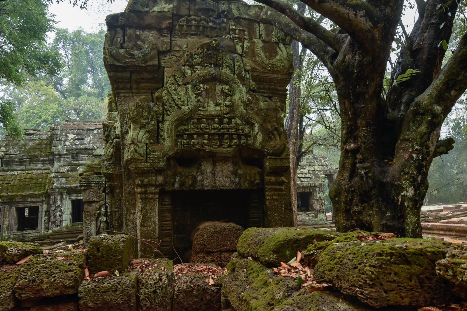 Kambodscha Foto-Touren mit dem Prohm-Tempel 1
