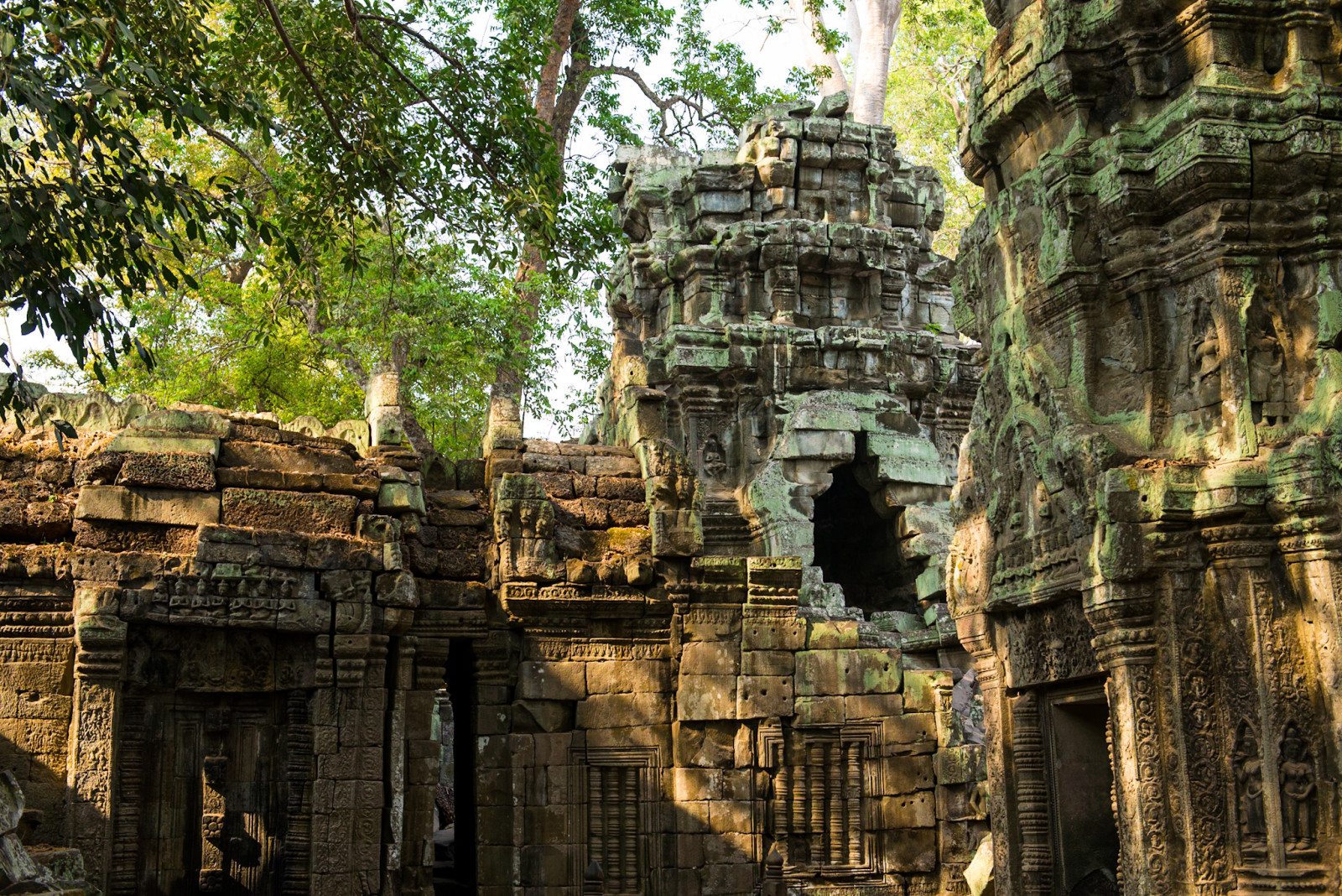 Kambodscha Foto-Touren mit dem Prohm-Tempel