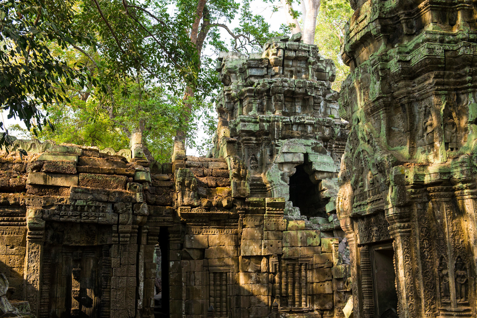 cambodia-photo-tours-ta-prohm-temple