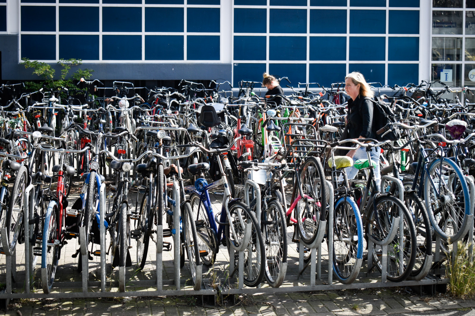 Gekleurde fietsen in Amsterdam 1