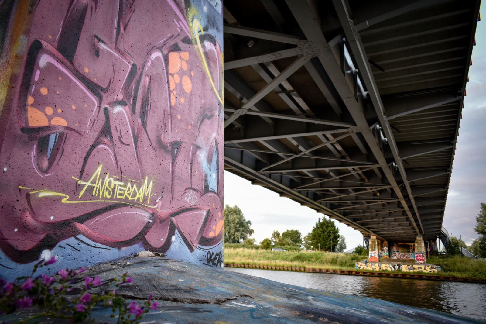 Graffiti under bridge in Amsterdam