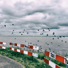 Only sky above us in the Dutch polder landscape