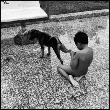 Little humanity in the streets of Phnom Penh Cambodia