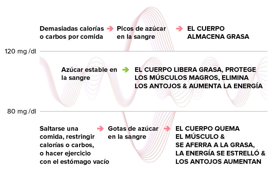 Por qué es importante la estabilización del azúcar en la sangre