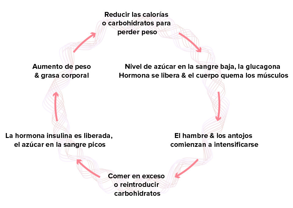 POR QUÉ LA RESTRICCIÓN SIEMPRE FALLA