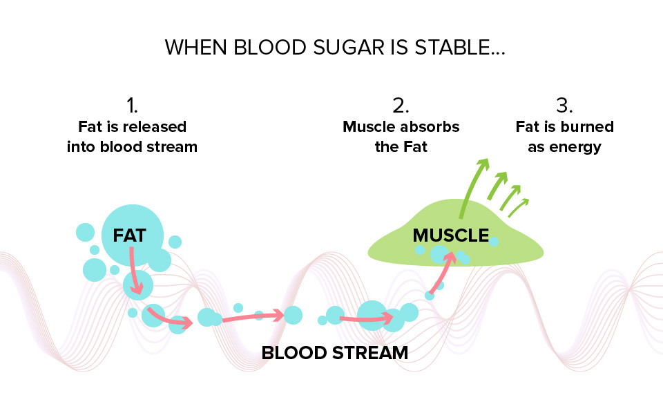 How stable blood sugar optimizes your workouts