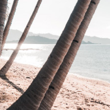 Ne t'inquiète pas de ton régime alimentaire quand tu es en vacances