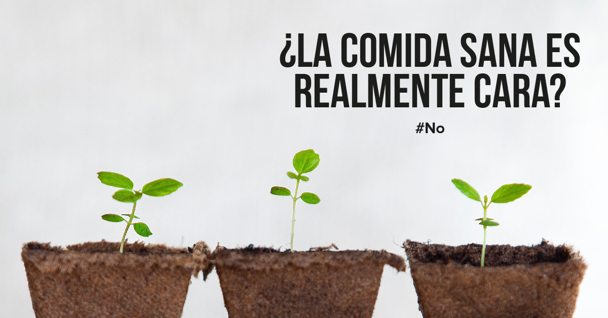 ¿La comida sana es realmente cara?