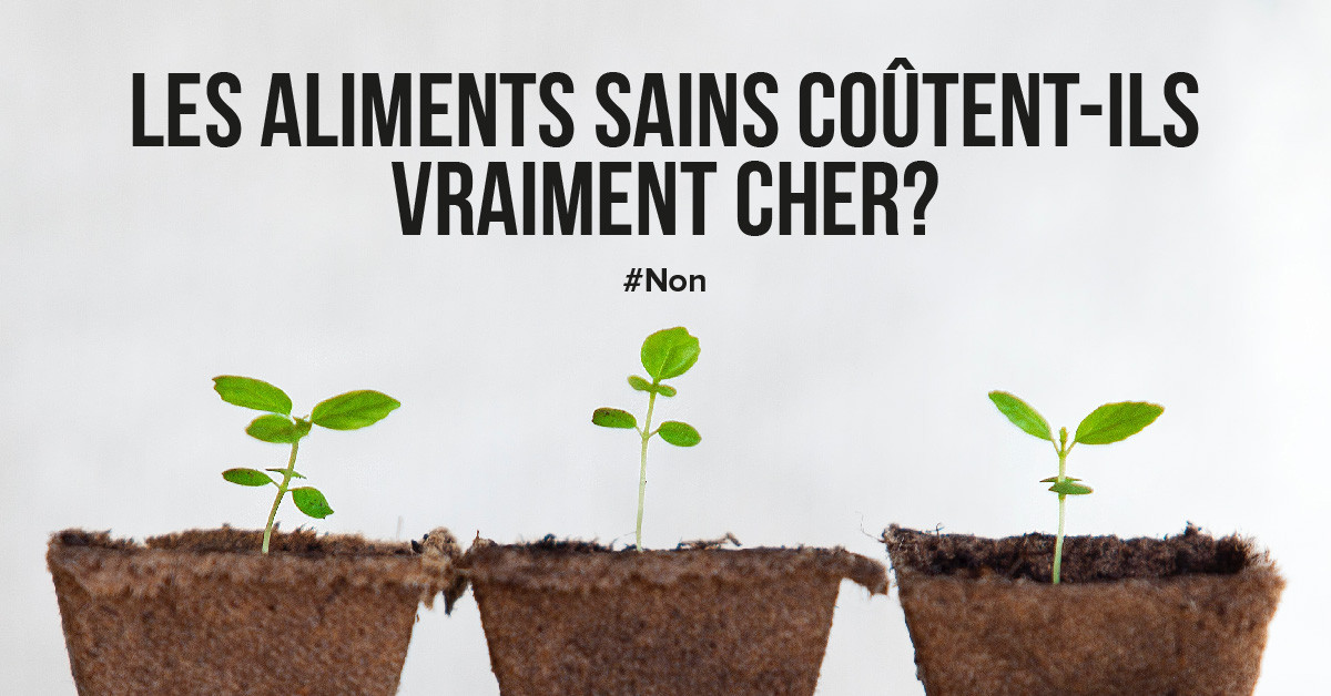 Les aliments sains coûtent-ils vraiment cher?