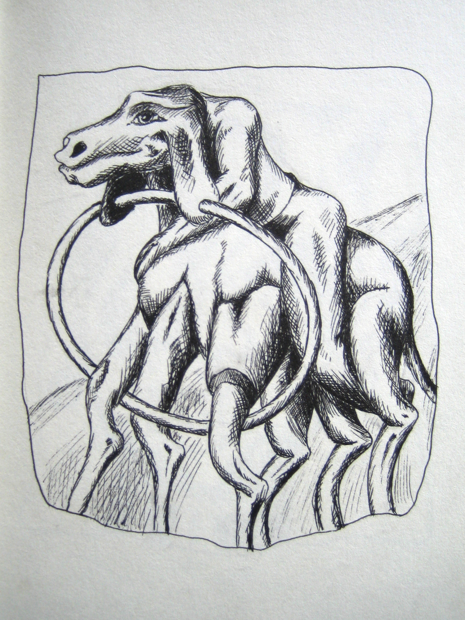 camel-man-black-and-white-drawing-with-pen