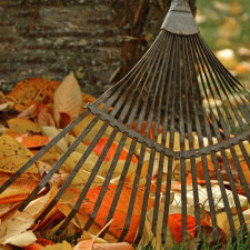 Maak jouw tuin klaar voor de herfst!