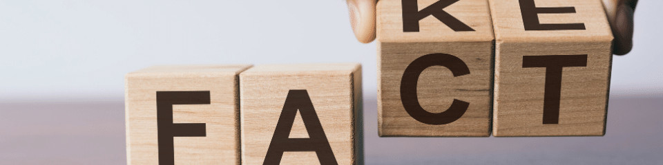 Hable sobre los hechos para SEO