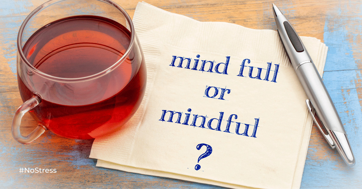 mind-full-or-mindful