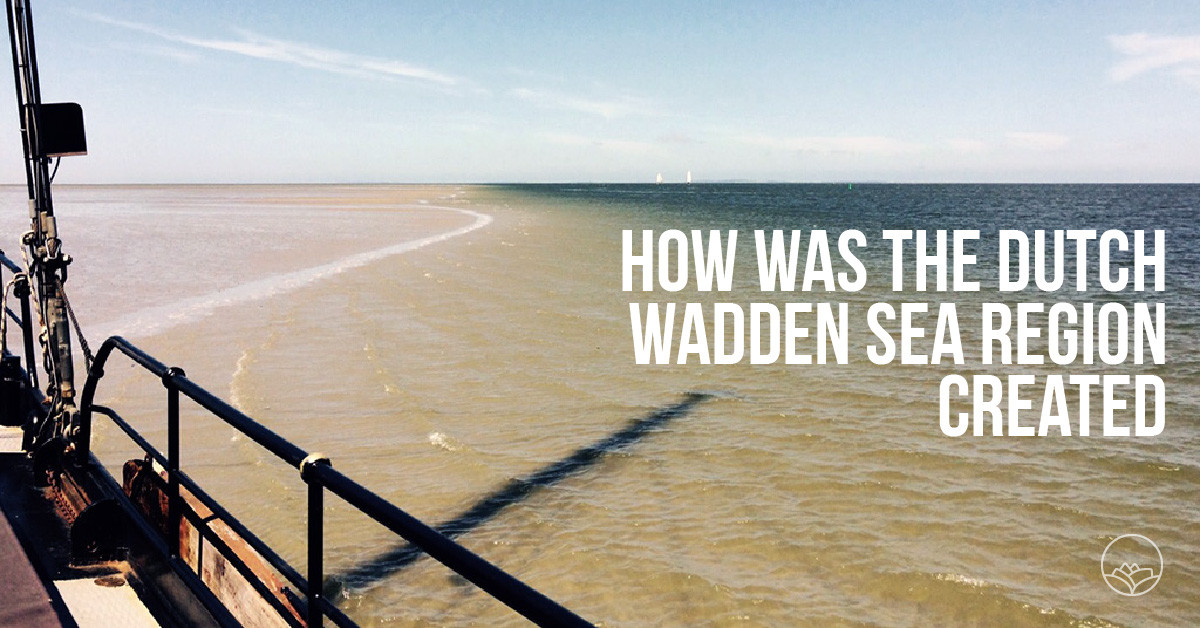 How was the Dutch Wadden Sea region created?
