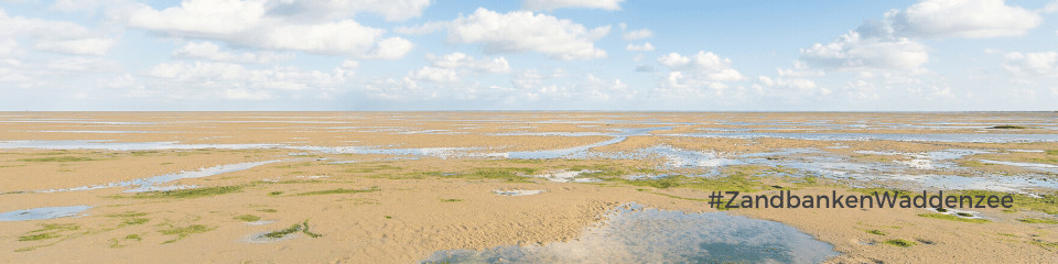 zandbanken-op-de-waddenzee-nederland