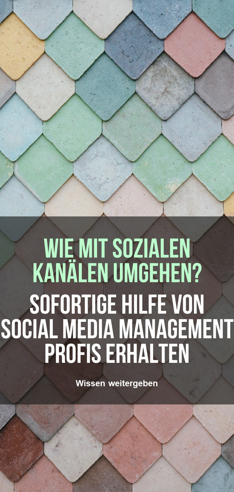 Social Media Management Spezialisten