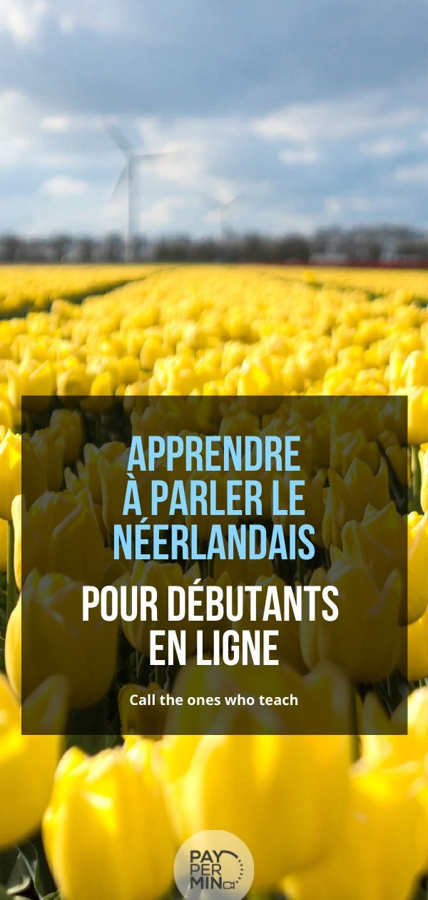 Apprendre à parler le néerlandais pour les débutants en ligne