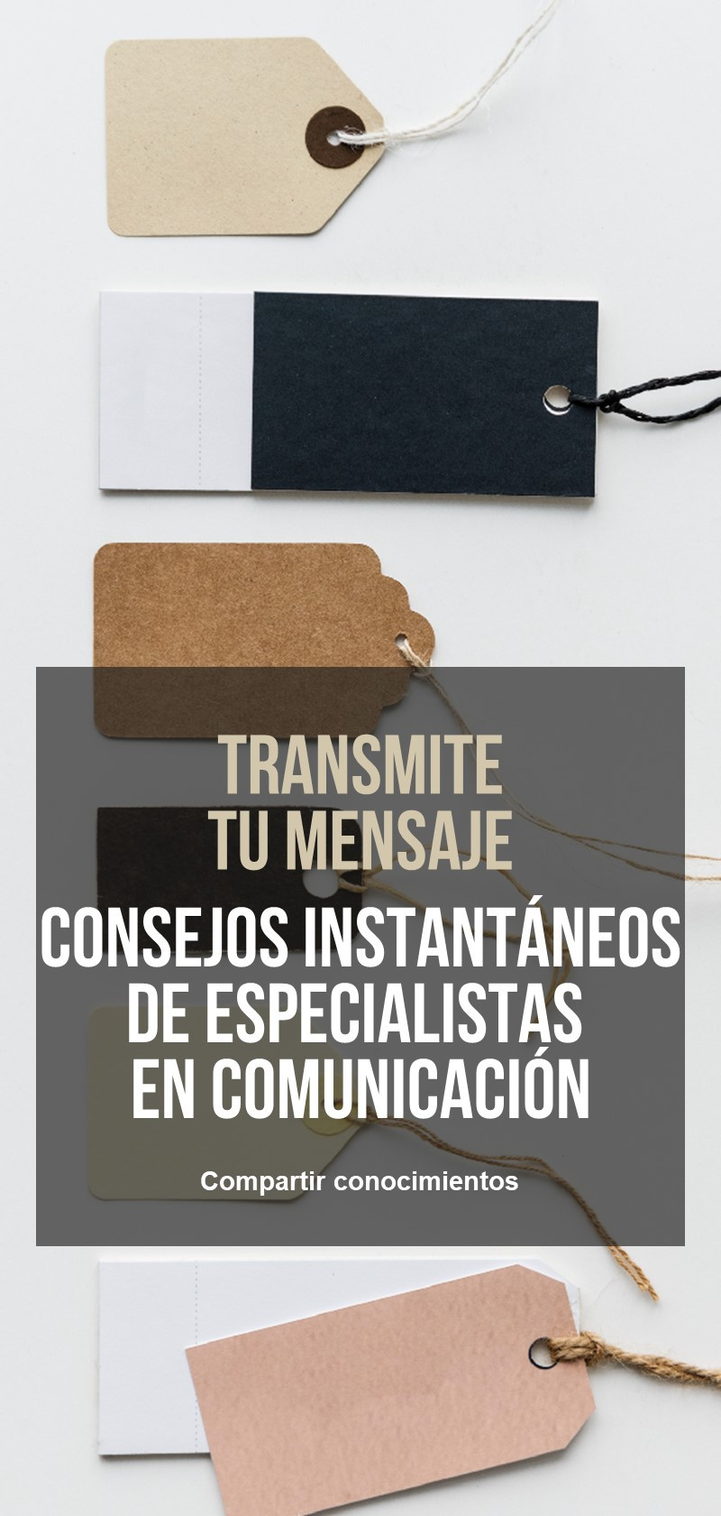 Aprende a comunicarse eficazmente con un especialista