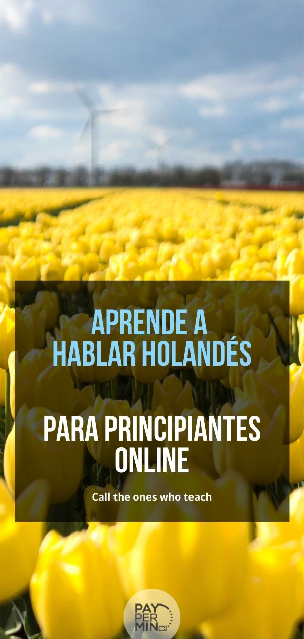 Aprende a hablar holandés para principiantes online