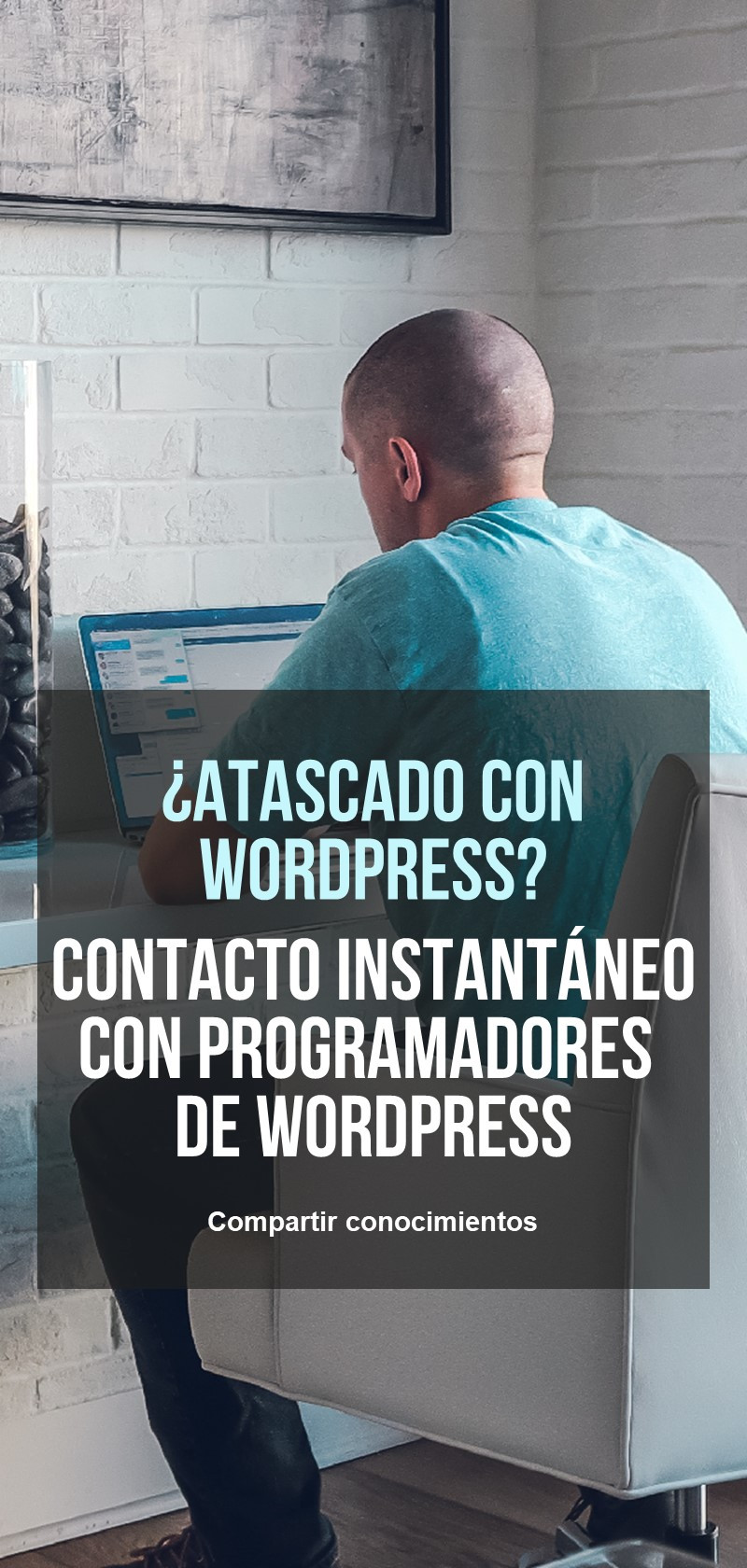 Aprende WordPress y obtén soporte para WordPress