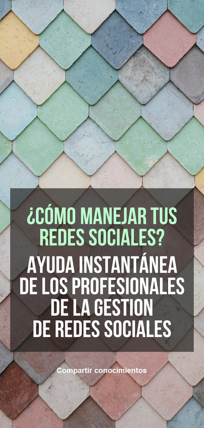 Asesoramiento en gestión de redes sociales