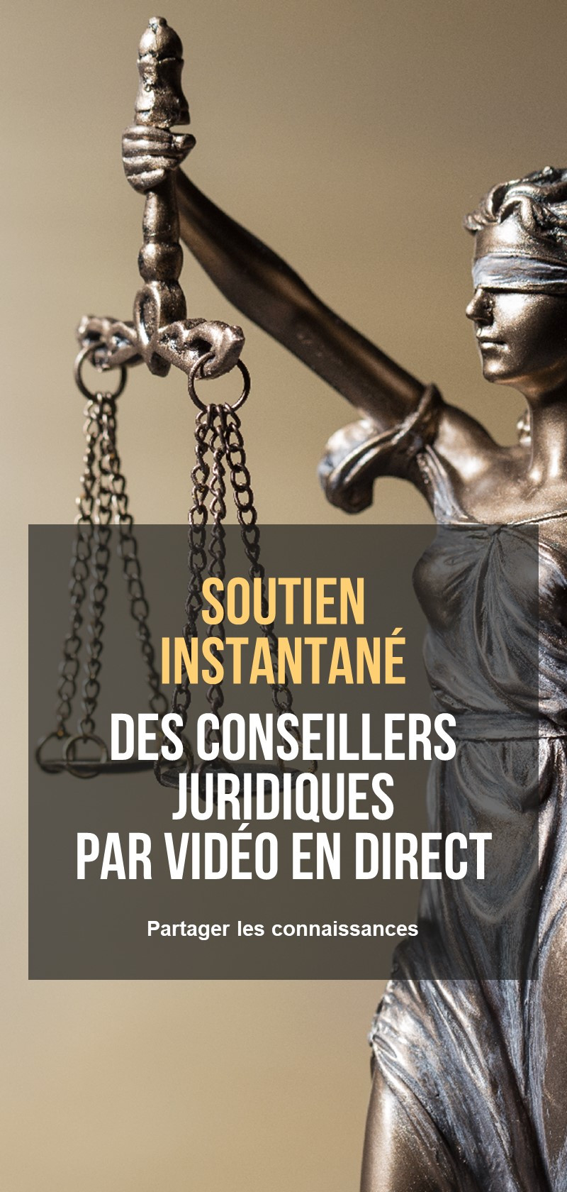 Avocats pour des conseils directs en ligne