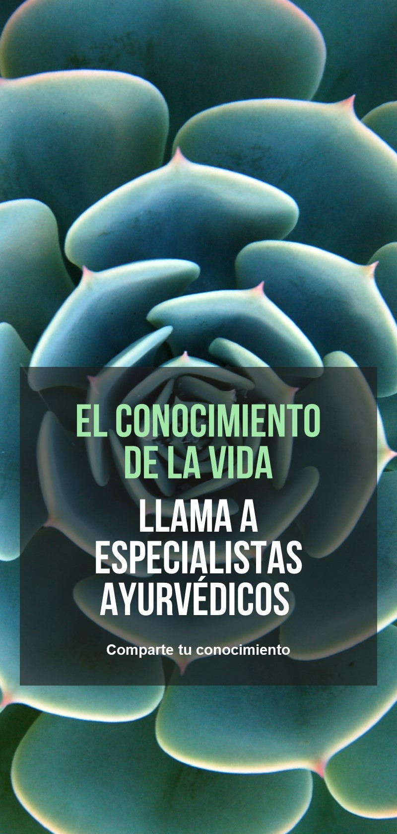 Especialistas en Ayurveda