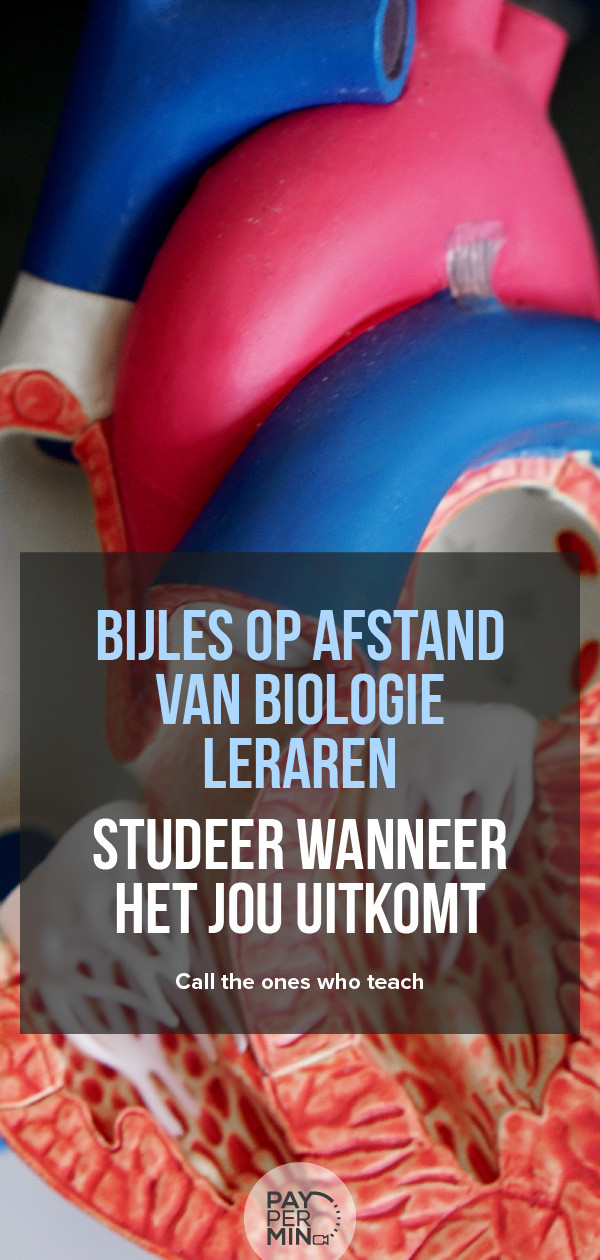bijlesleraren-biologie