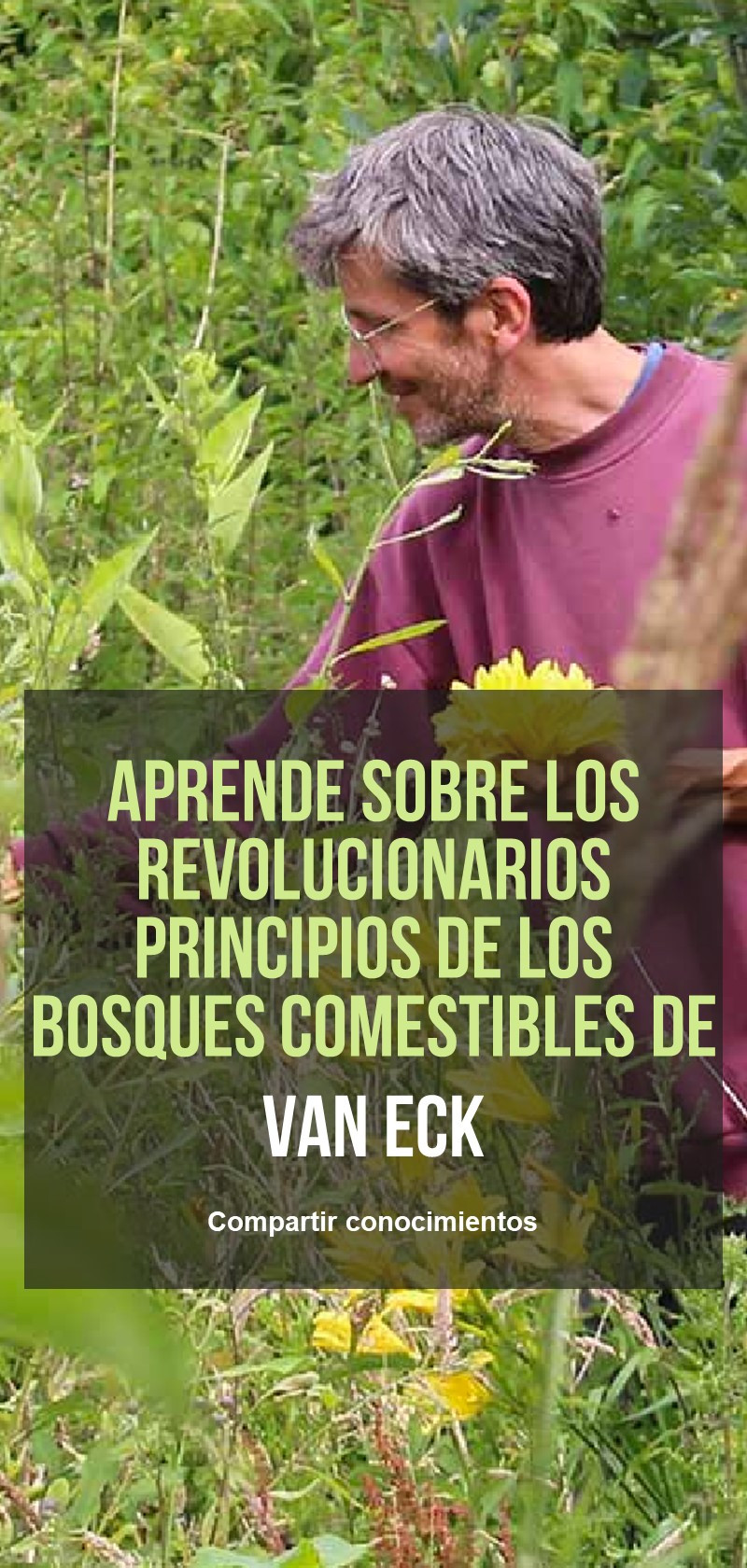 Bosques comestibles 