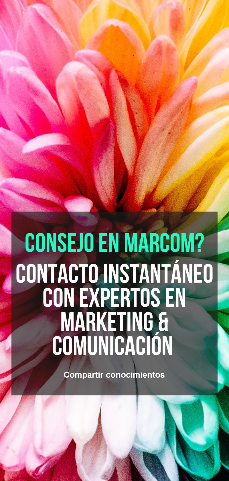 Comunicación estratégica y asesoramiento en marketing