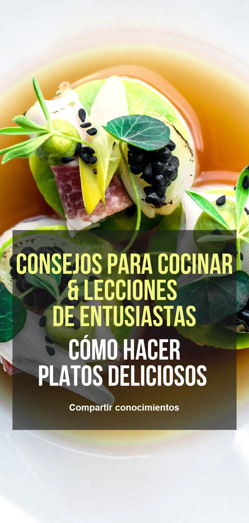 Consejos y lecciones de cocina