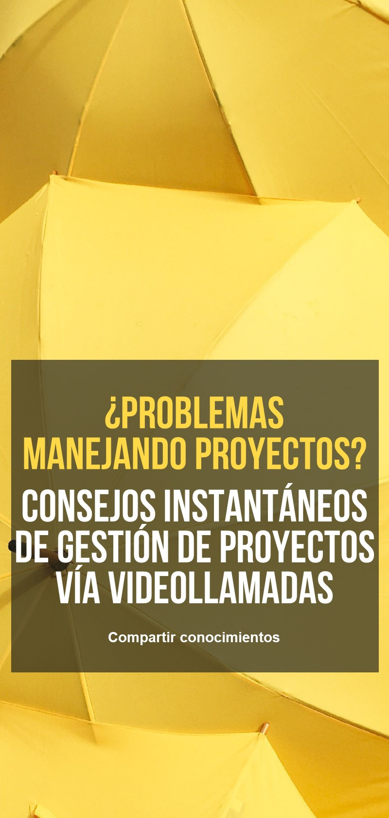 Consejos y asesoramiento para la gestión de proyectos