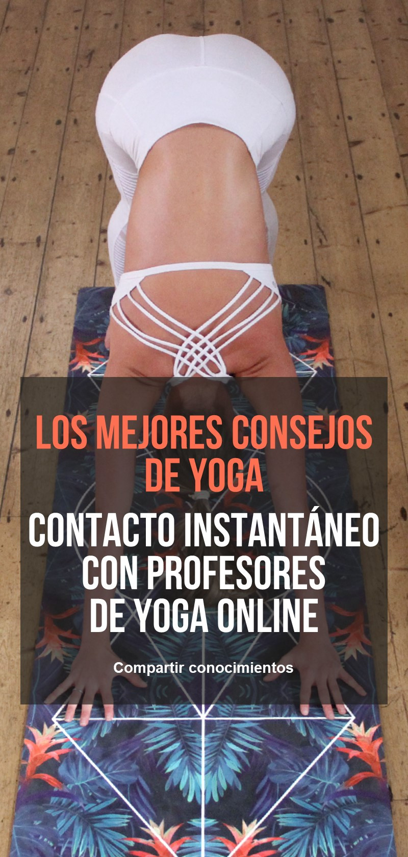 Clases y profesores de Yoga online