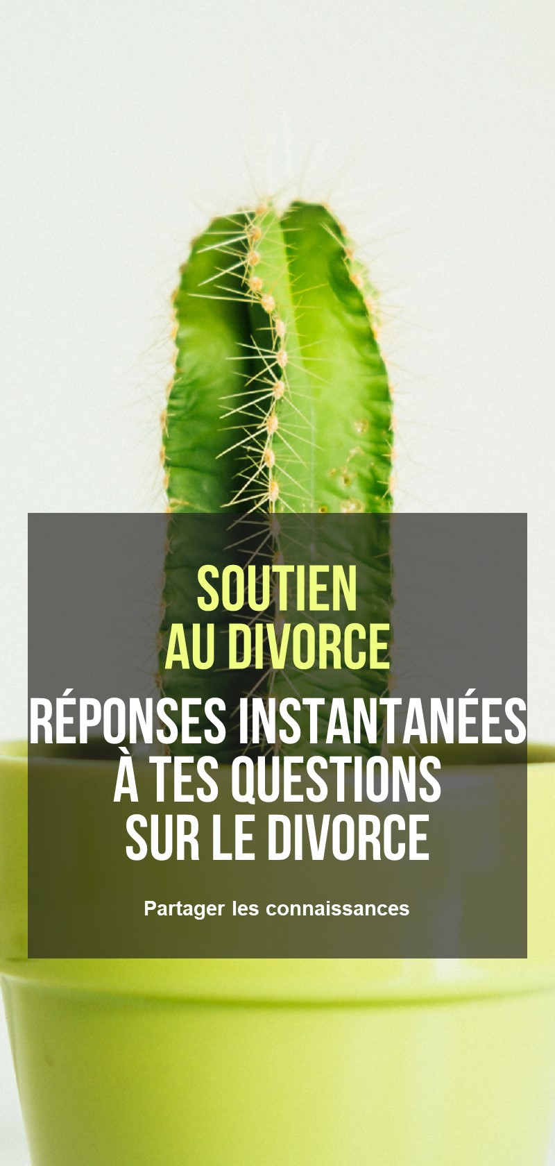 Conseils avant et après le divorce