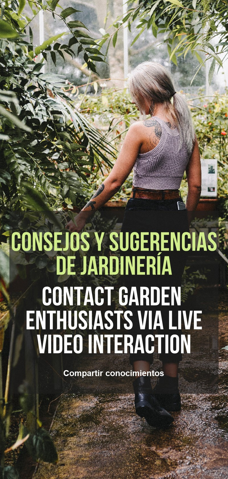 Consejos de jardineros y amantes de la jardinería