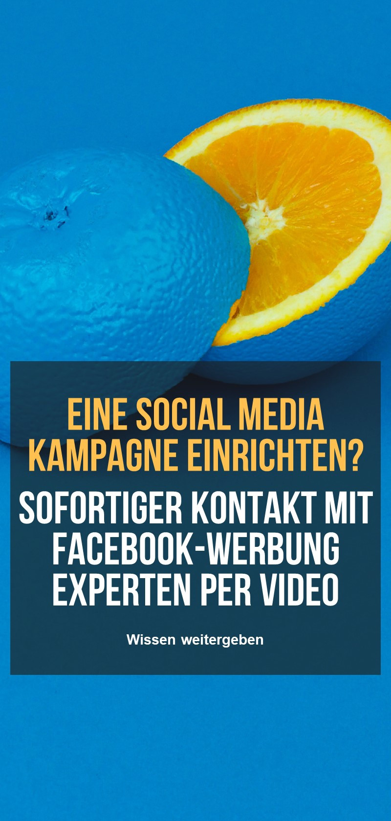 Unterstützung von Facebook-Werbung