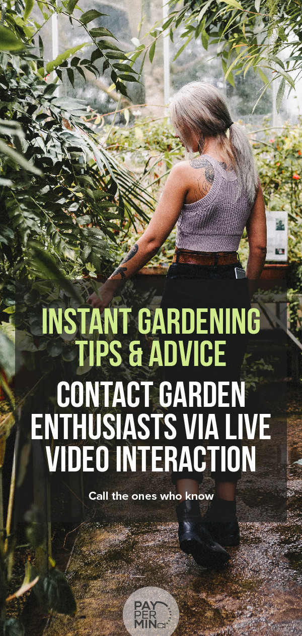 Gardening Enthusiasts Share All They Know About Gardening - 